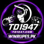 TD1947 Game